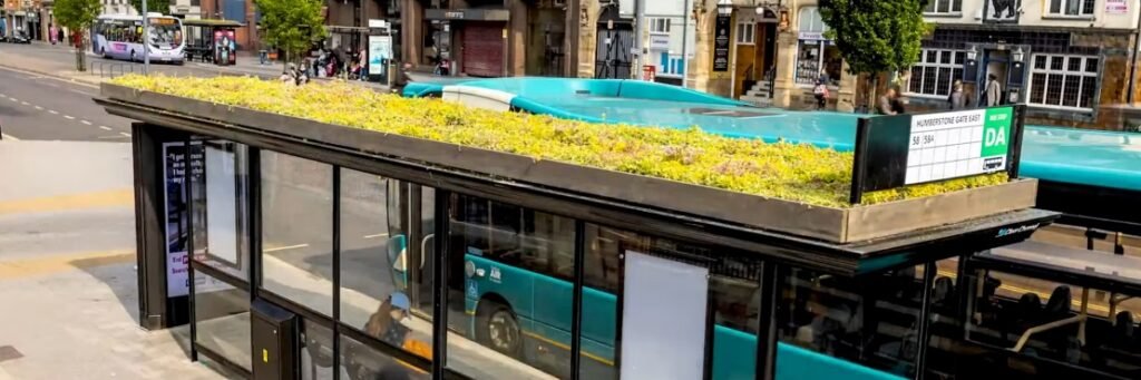 Bus Stops with Green Roofs